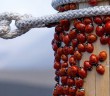 Bizi Müslümanca Ayakta Tutan Güç!