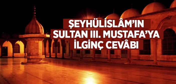 Şeyhülislâm Mehmed Emin Efendiʼnin Hassasiyeti