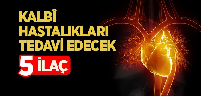 Kalbin İslam’daki Yeri ve Önemi Nedir?