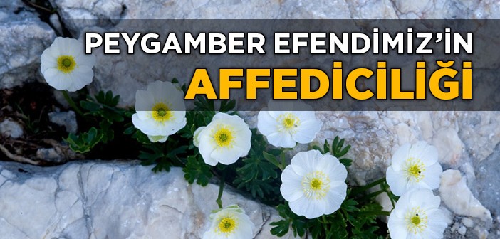 Peygamber Efendimiz'in Affediciliği