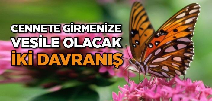 Cennete Girmenize Vesile Olacak İki Davranış