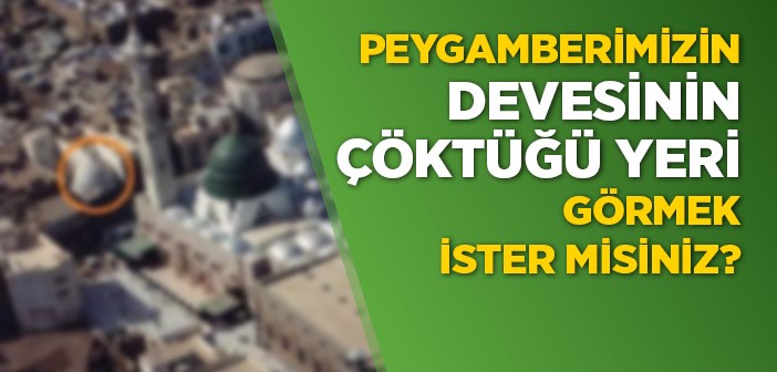 Peygamber Efendimiz'in Devesinin Çöktüğü Yer