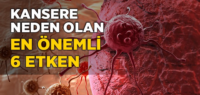 Kansere Neden Olan En Önemli 6 Etken