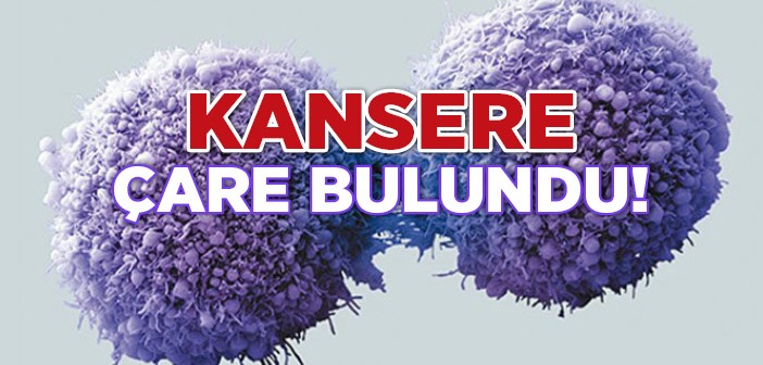 Kanserli Hücreleri Dönüştüren Buluş