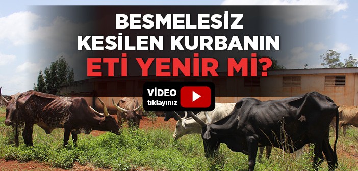 Besmelesiz Kesilen Kurbanın Eti Yenir mi?