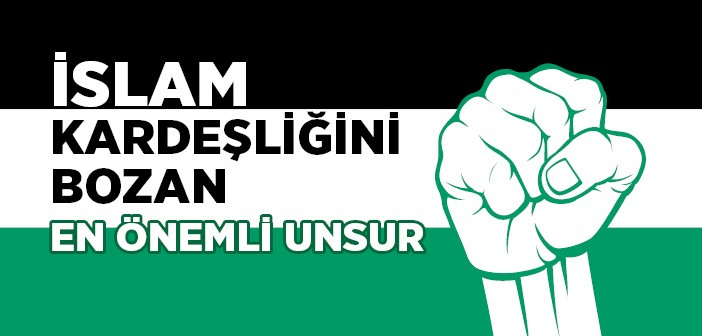 İslam Dünyasındaki Sorunların Çözümü