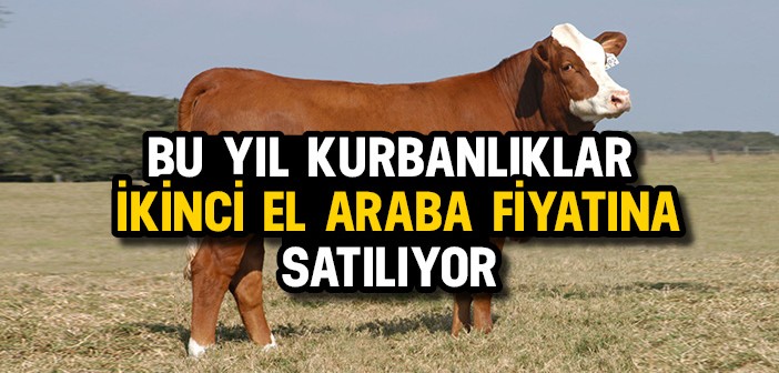 Kurbanlıklar İkinci El Araba Fiyatında