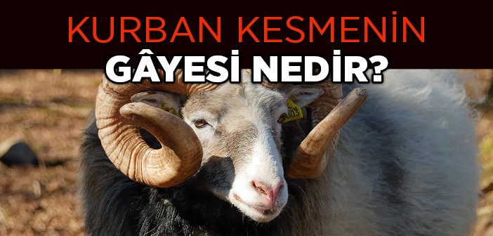 kurban_kesmenin_gayesi