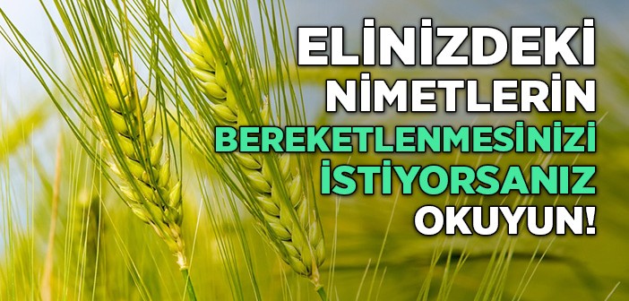 Nimetlerin Bereketlenmesini İstiyorsanız Okuyun!