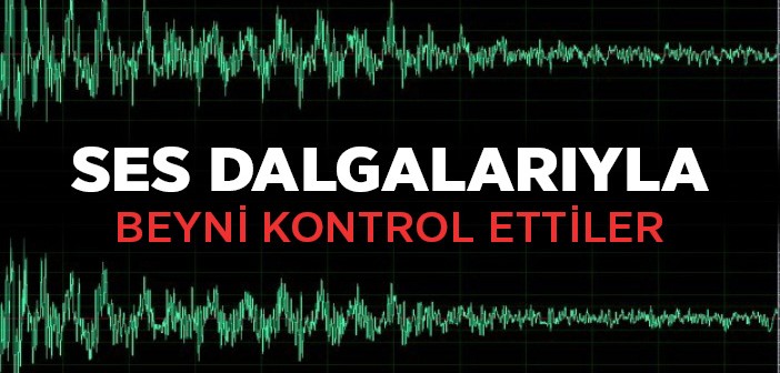 Bilim Adamları Ses Dalgalarıyla Beyni Kontrol Etti