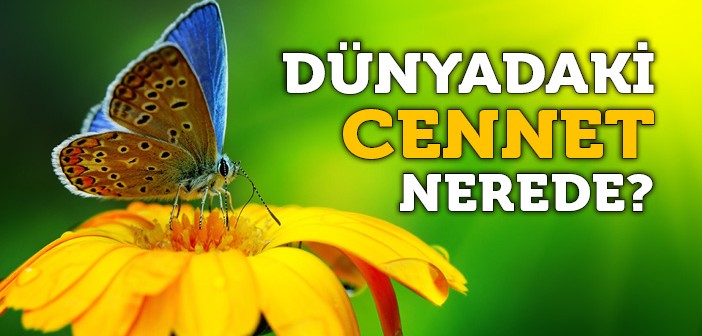 Dünyada Cennete Nasıl Gireriz?