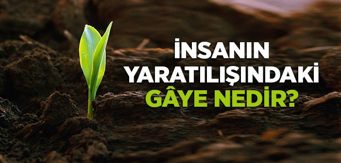 İnsanın Yaratılışındaki Gâye Nedir?