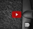 Temizlik Yaparken Karıncanın Öldürülmesi Günah mıdır?