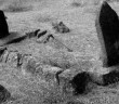 Kıyamet Günü Kiminle Diriltileceksiniz?