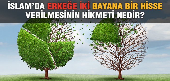 İslam’da Erkeğe İki Bayana Bir Hisse Verilmesinin Hikmeti Nedir?