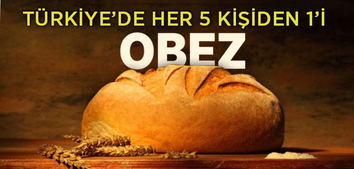 Türkiye'de Her Beş Kişiden Biri Obez