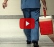 Organ Bağışı Caiz midir?
