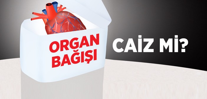 Organ Bağışı Caiz midir?