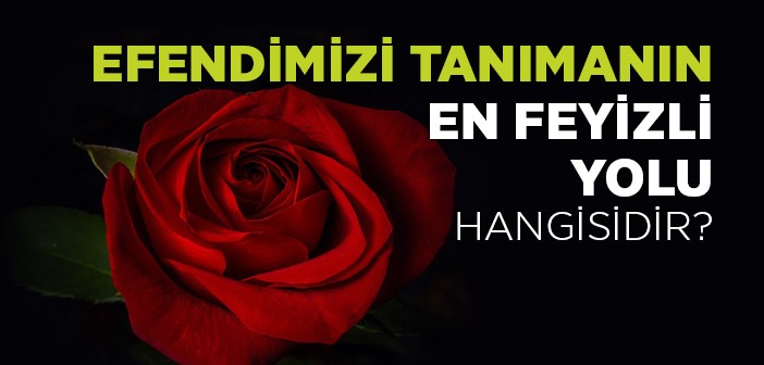 Efendimiz’i Tanımanın En Feyizli Yolu