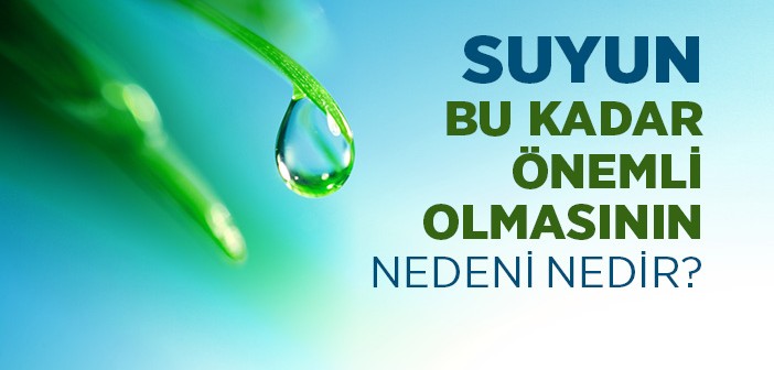 Su İçme İhtiyacı Nereden Geliyor?