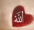Allah İle Meşgul Olmayan Kalp
