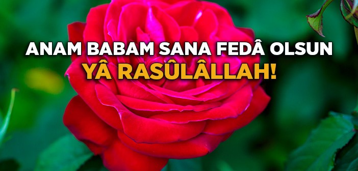 Anam Babam Sana Fedâ Olsun Yâ Resûlâllah!