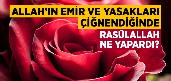 Allah’ın Emir ve Yasakları Çiğnendiğinde Resûlullah Ne Yapardı?