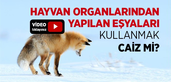 Hayvanların Deri ve Kemiğinden Yapılan Eşyaları Kullanmak Caiz midir?