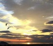 Atmosferdeki Karbondioksit Miktarı Rekor Seviyede!