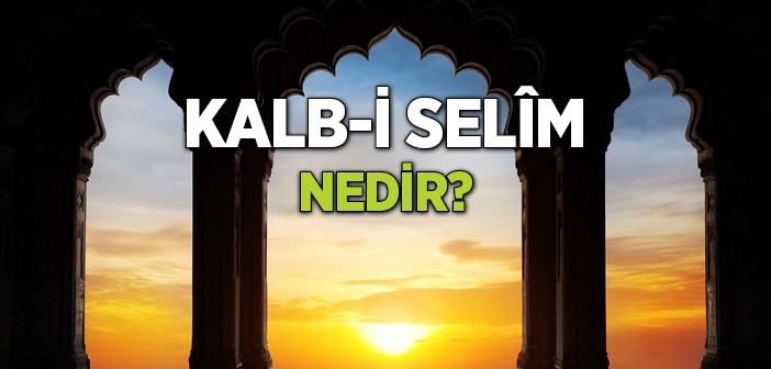 Kalb-i Selîm Seferberliği