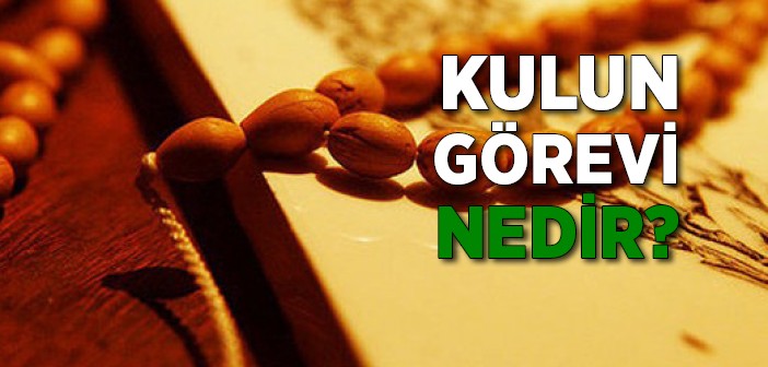 Kulun Görevi Nedir?