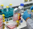 Milli Kanser İlacı Geliyor