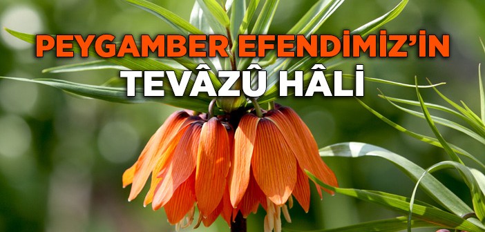 Peygamber Efendimiz'in Tevâzû Hâli