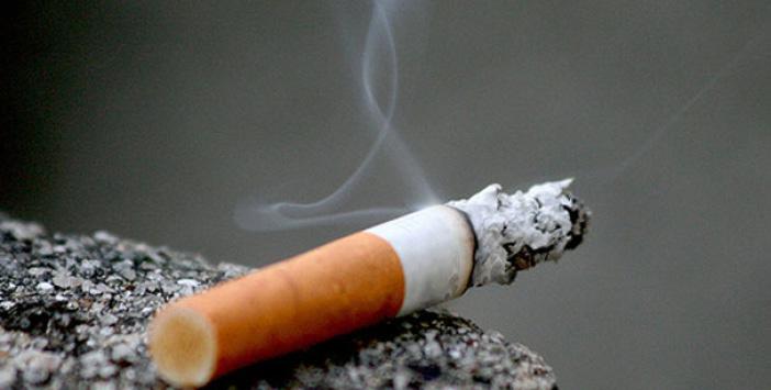 Türkiye'de Sigara İçme Oranı