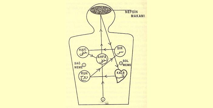 vucudumuzdaki_manevi_merkezler21-702x336.jpg