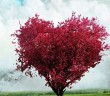 Murâkabe-i Muhabbet Nedir?