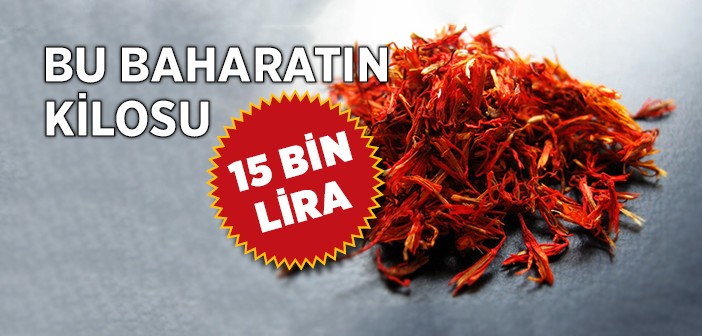 Kilosu 15 Bin Lira Olan Safran Gramla Satılabiliyor