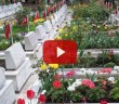 Dünyanın En Büyük Mezarlığı Hangisidir?