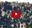 Eyüp Mezarlığının Bilinmeyen Yönleri