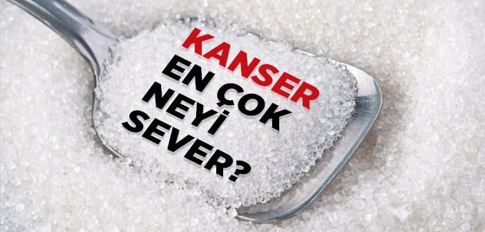 Kanser En Çok Neyi Sever?