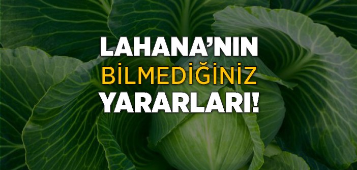 Lahananın Bilmediğiniz Faydaları!