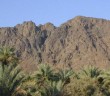 Uhud Savaşı’ndaki Hanım Okçu: Ümmü Umâre
