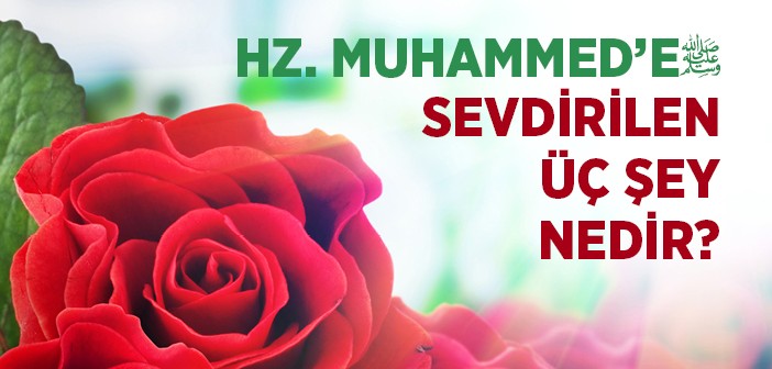 Hz. Muhammed'in (s.a.v.) Çok Evlilik Yapmasının Sebebi Nedir?