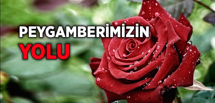 Peygamberimizin Yolundan Gitmek