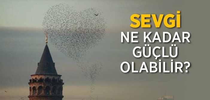 Sevgi Ne Kadar Güçlü Olabilir?