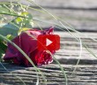 Kocası Tarafından Aldatılan Kadın Ne Yapmalı?