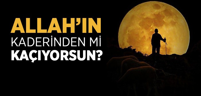 Allah’ın Kaderinden mi Kaçıyorsun?