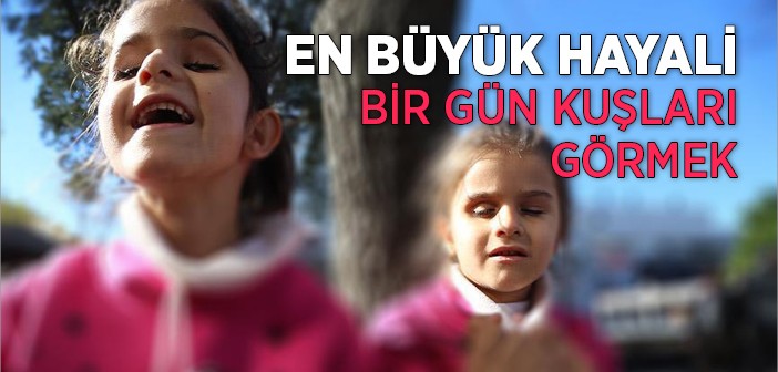 En Büyük Hayalleri Bir Gün Kuşları Görmek