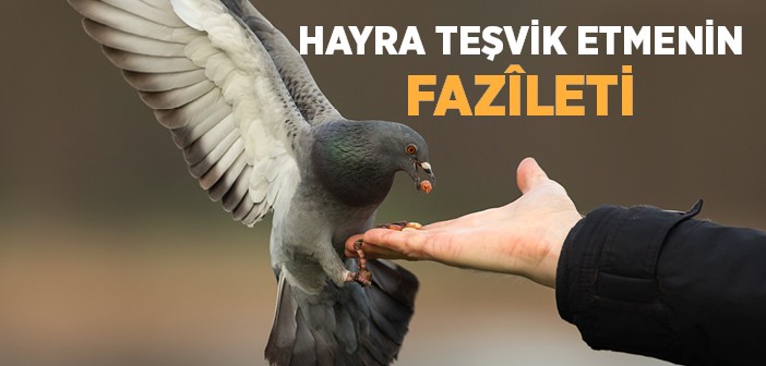 Hayra Teşvik Etmenin Fazileti