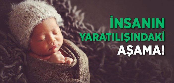 İnsanın Yaratılışındaki Altı Aşama